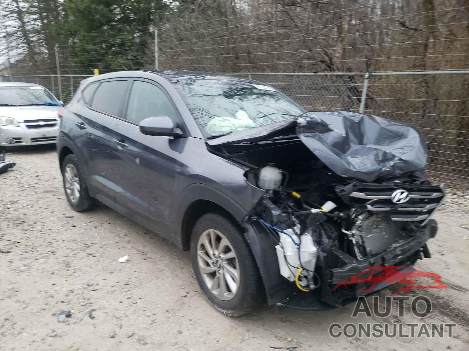 HYUNDAI TUCSON 2017 - KM8J23A44HU576935