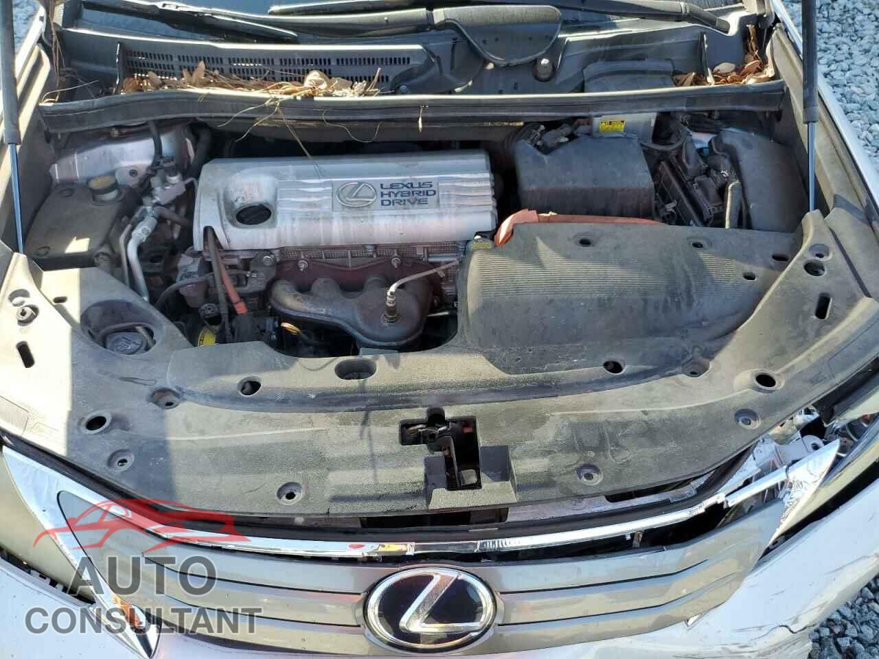 LEXUS HS 2010 - JTHBB1BA7A2001701