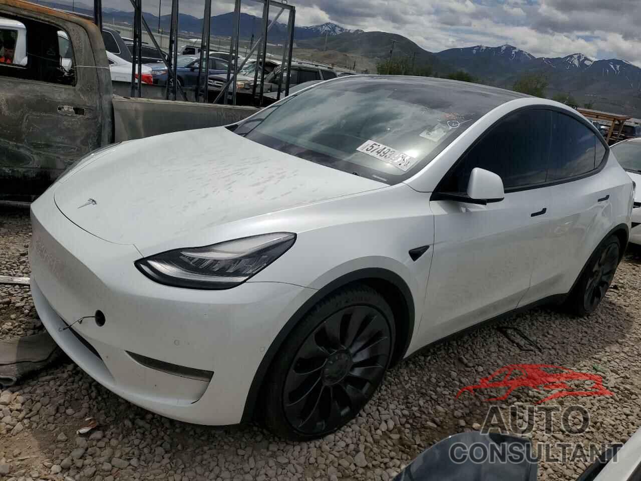 TESLA MODEL Y 2020 - 5YJYGDEF3LF028061