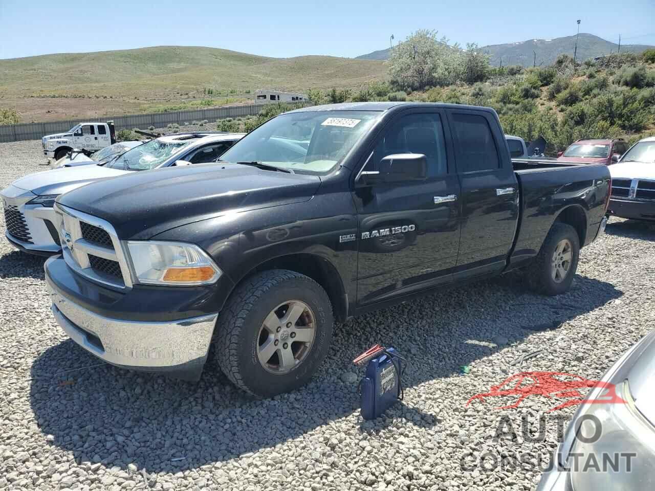 DODGE All Models 2011 - 1D7RV1GTXBS626098