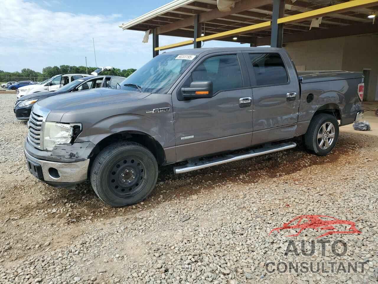 FORD F-150 2011 - 1FTFW1CT1BKD64097