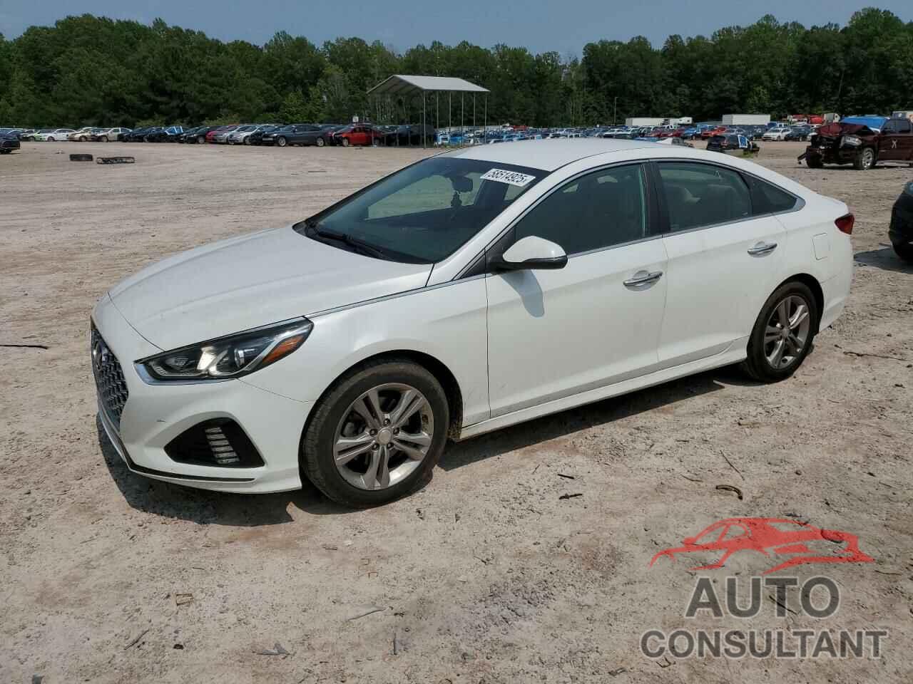 HYUNDAI SONATA 2019 - 5NPE34AF5KH792014