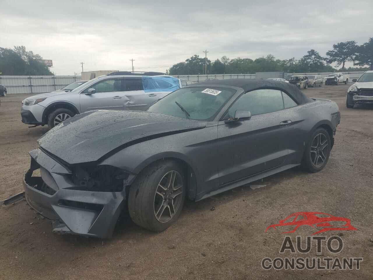 FORD ALL Models 2019 - 1FATP8UH3K5181663