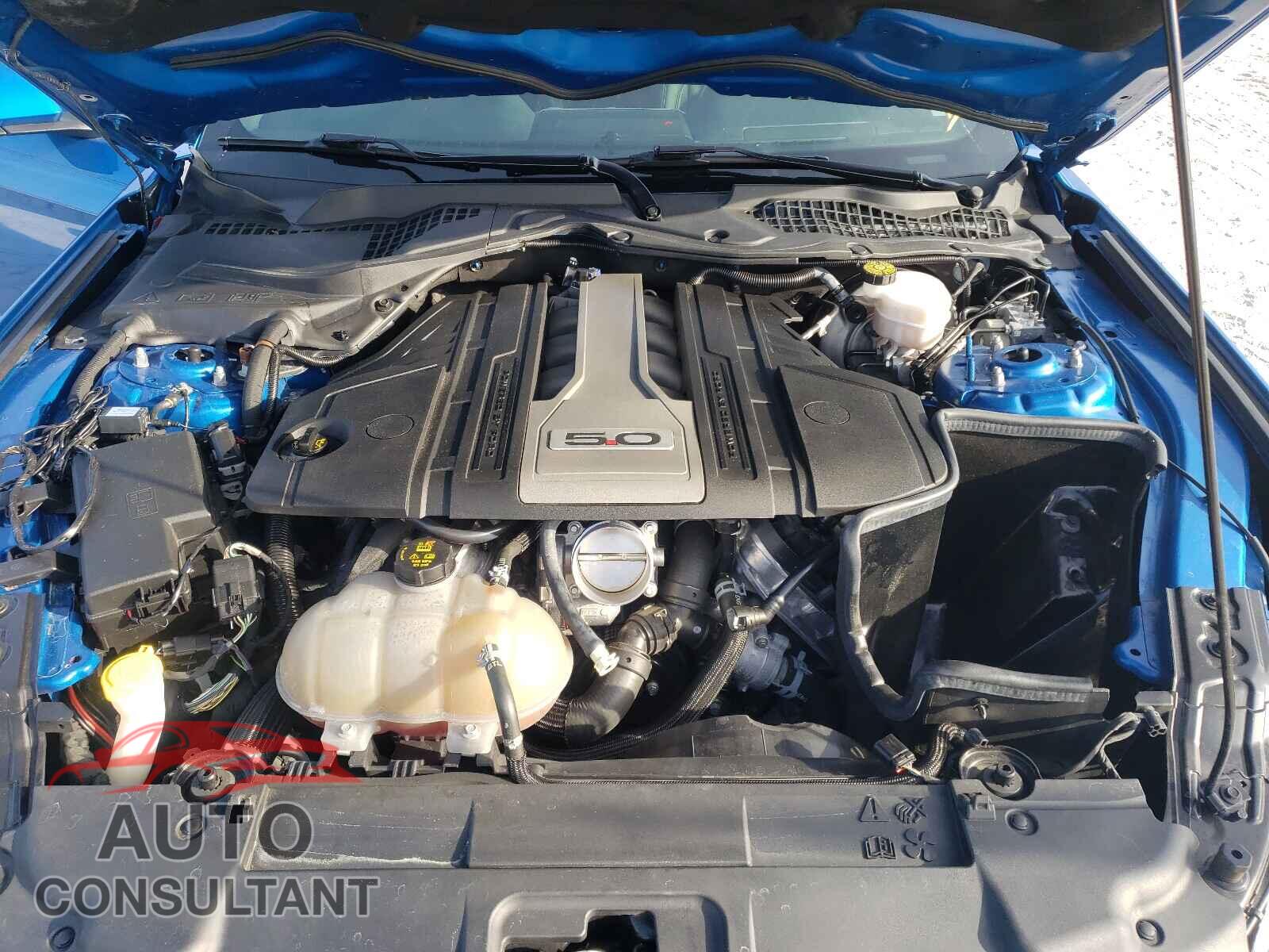 FORD MUSTANG 2019 - 1FA6P8CF1K5129672