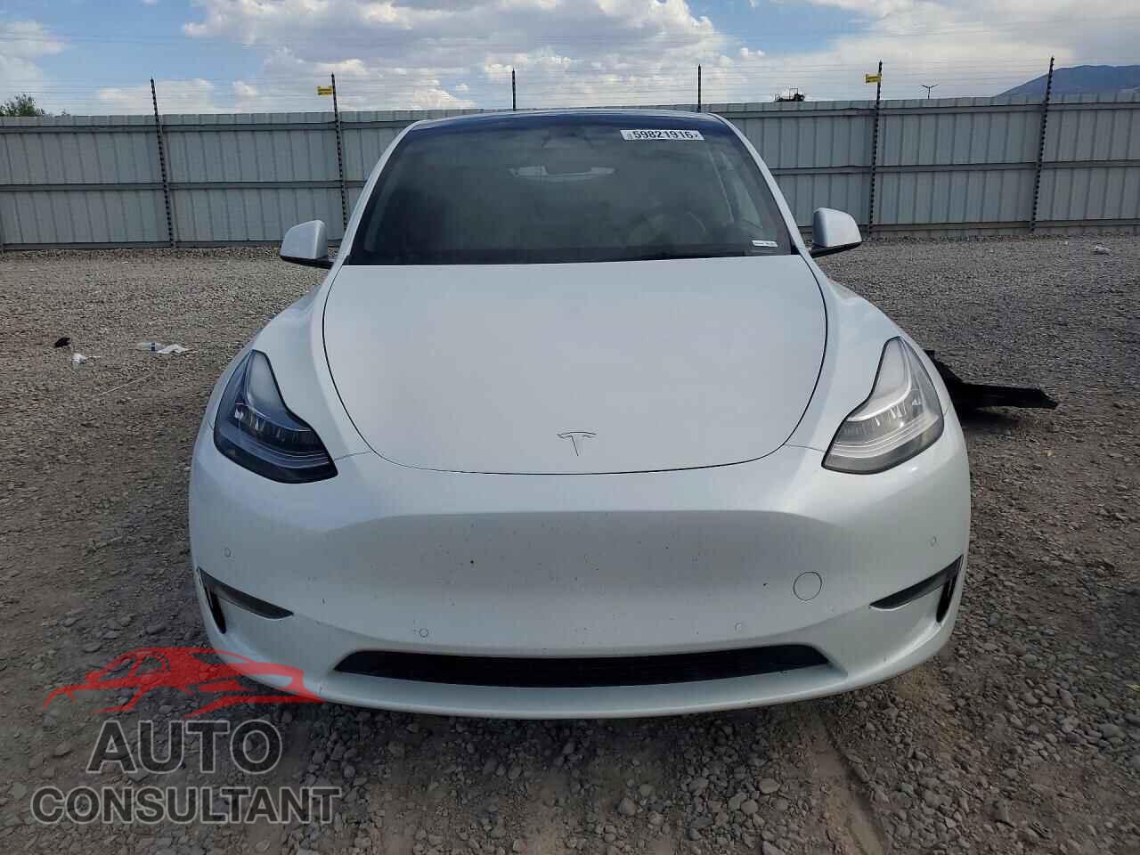 TESLA MODEL Y 2021 - 5YJYGDEE6MF279326