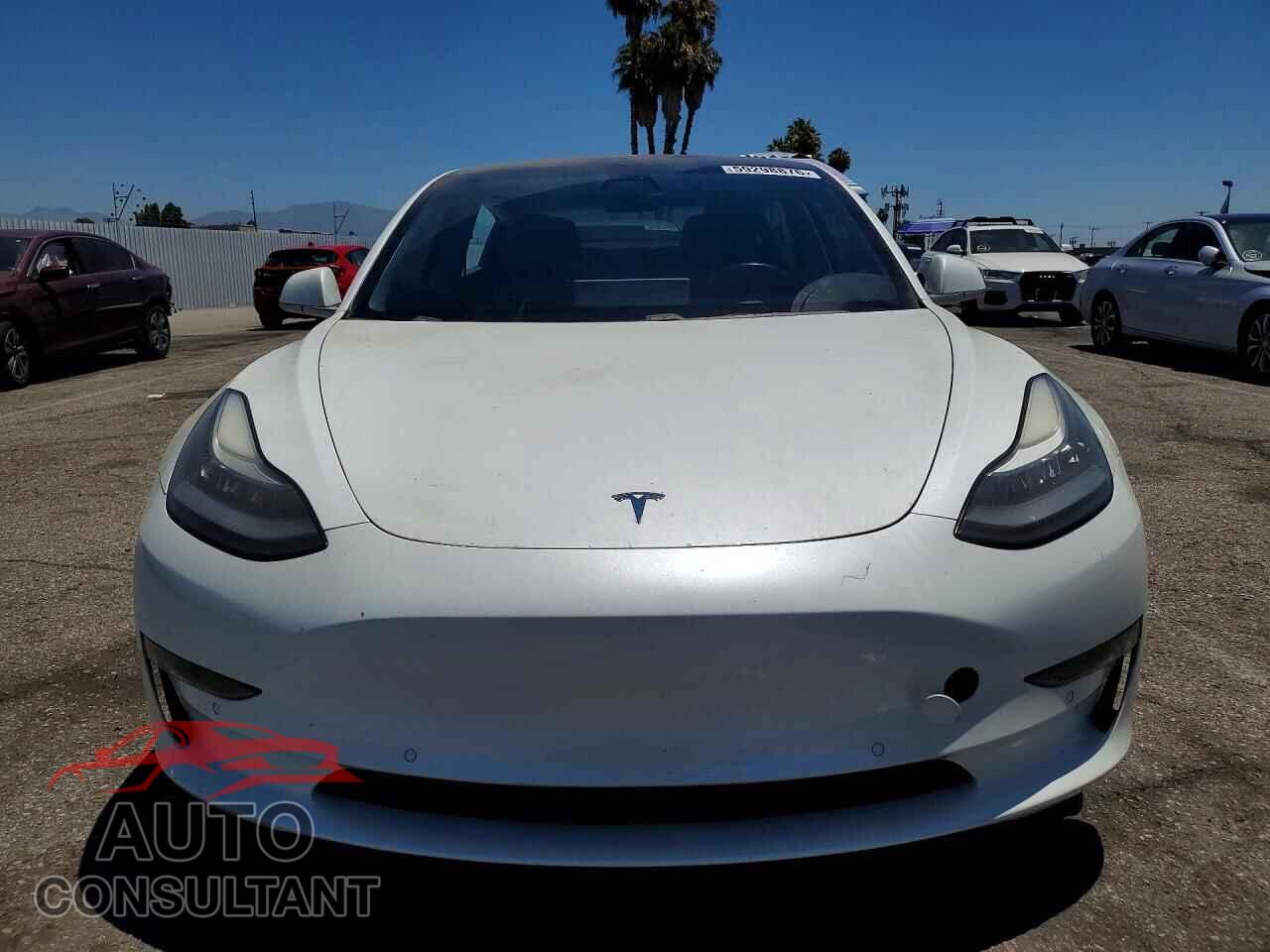 TESLA MODEL 3 2019 - 5YJ3E1EA3KF326952