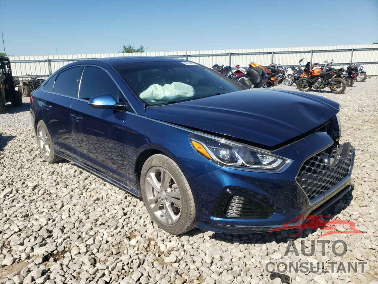 HYUNDAI SONATA 2019 - 5NPE34AF8KH808822