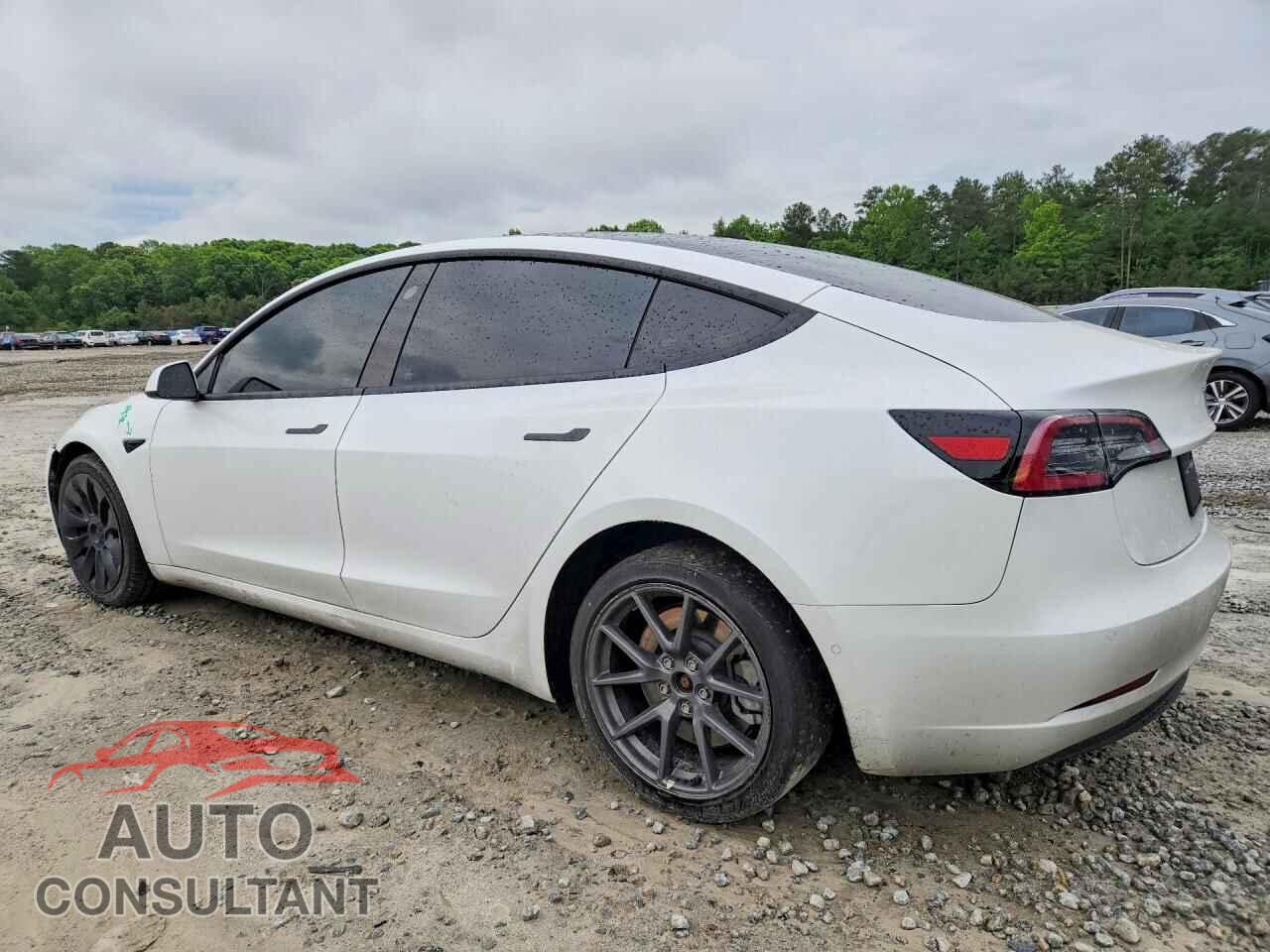 TESLA MODEL 3 2021 - 5YJ3E1EA2MF016665