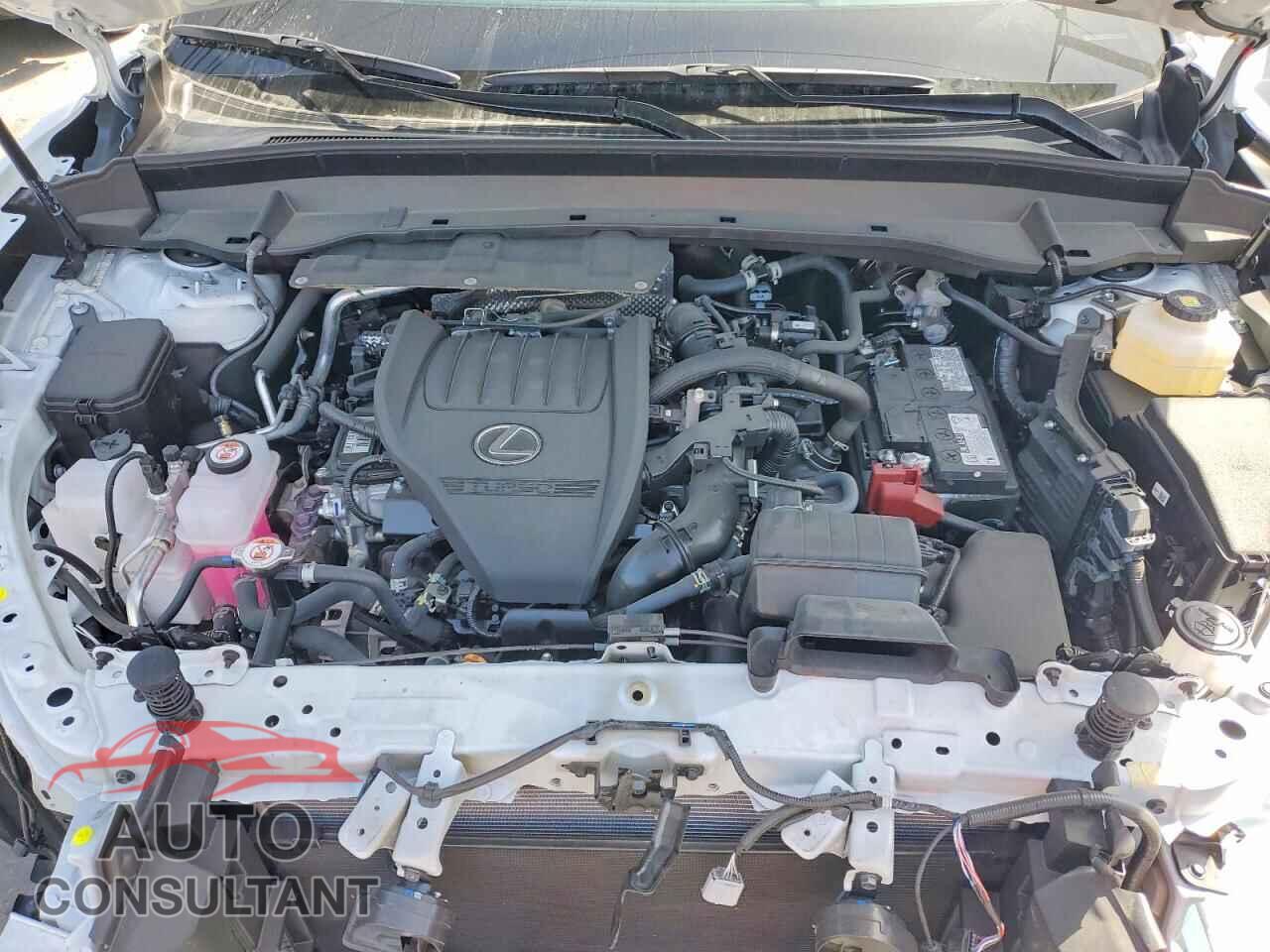 LEXUS UNKNOWN 2026 - 5TDAAAB63TS055956