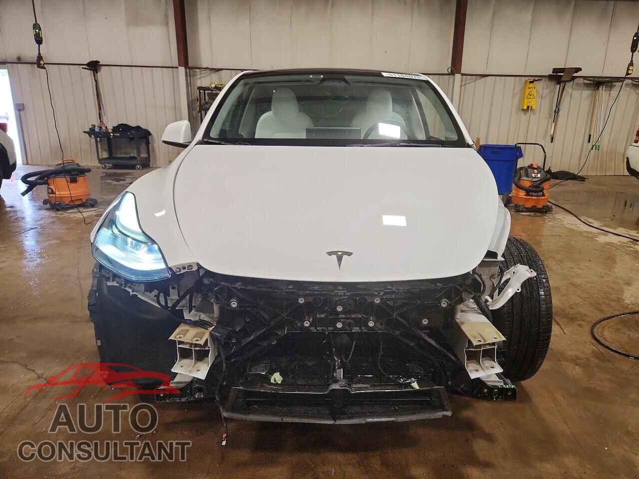 TESLA MODEL Y 2024 - 7SAYGAEE4RF176558