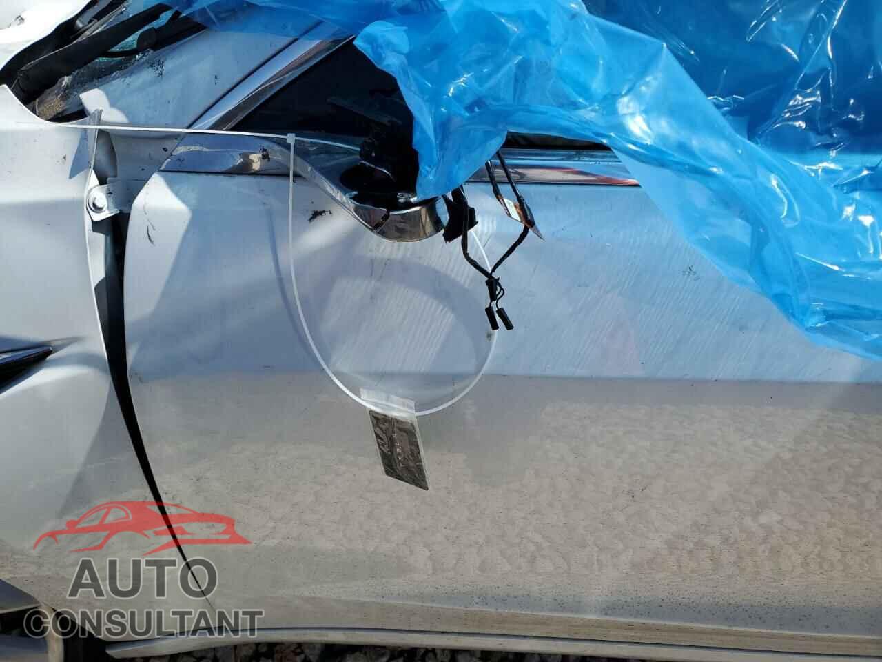 TESLA MODEL 3 2019 - 5YJ3E1EB2KF513401