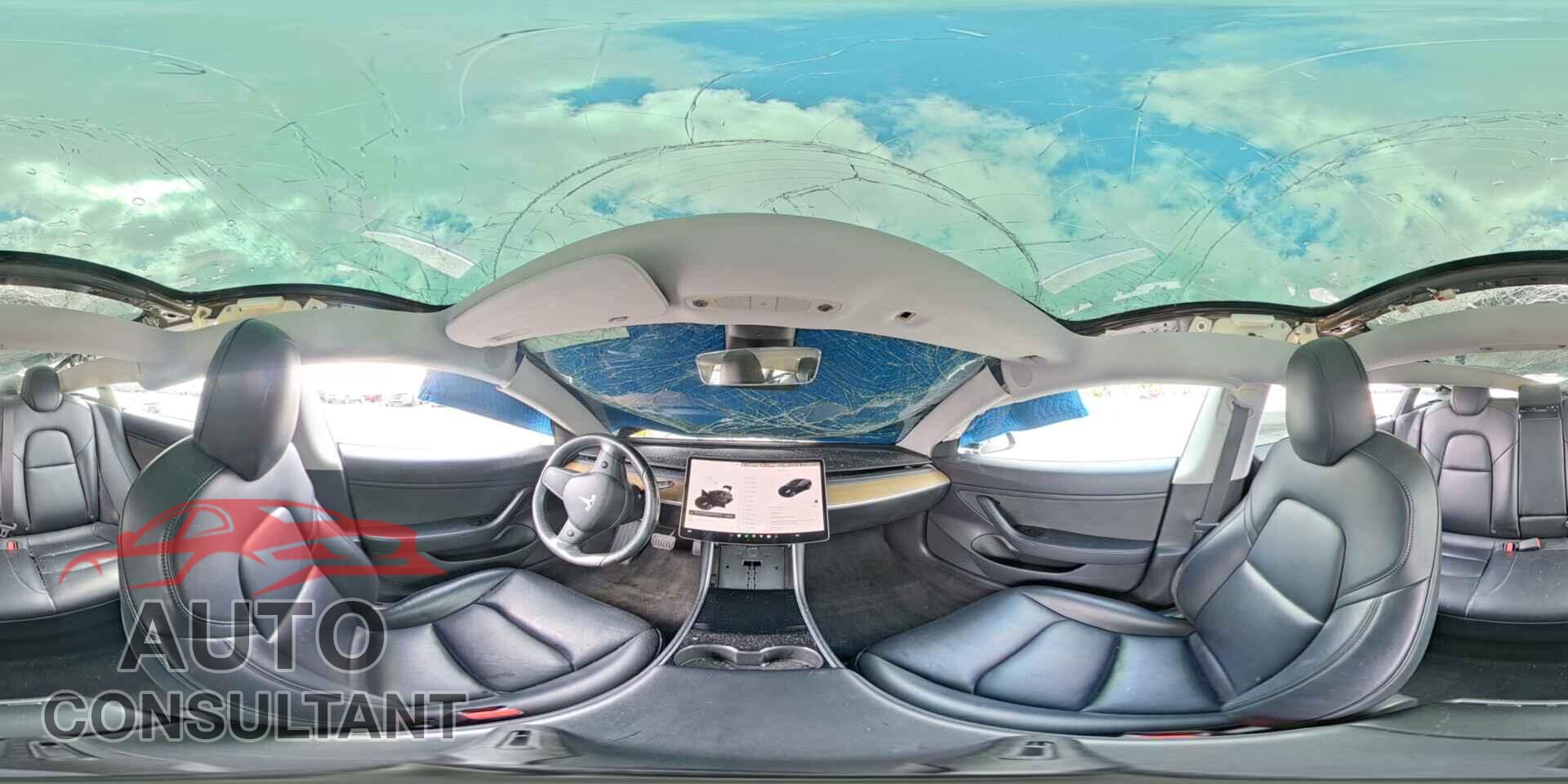 TESLA MODEL 3 2019 - 5YJ3E1EA8KF306700