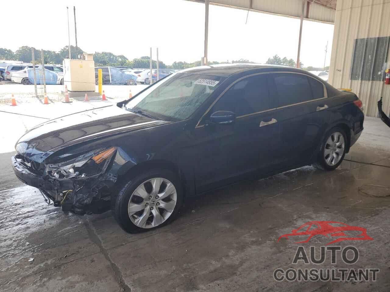 HONDA ACCORD 2010 - 5KBCP3F88AB012215