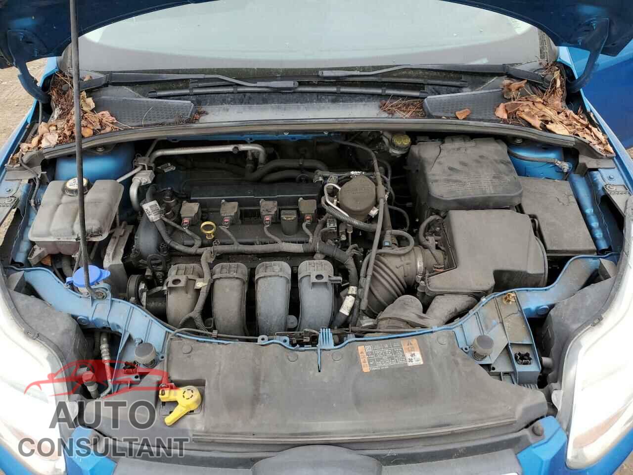 FORD FOCUS 2014 - 1FADP3F20EL414172