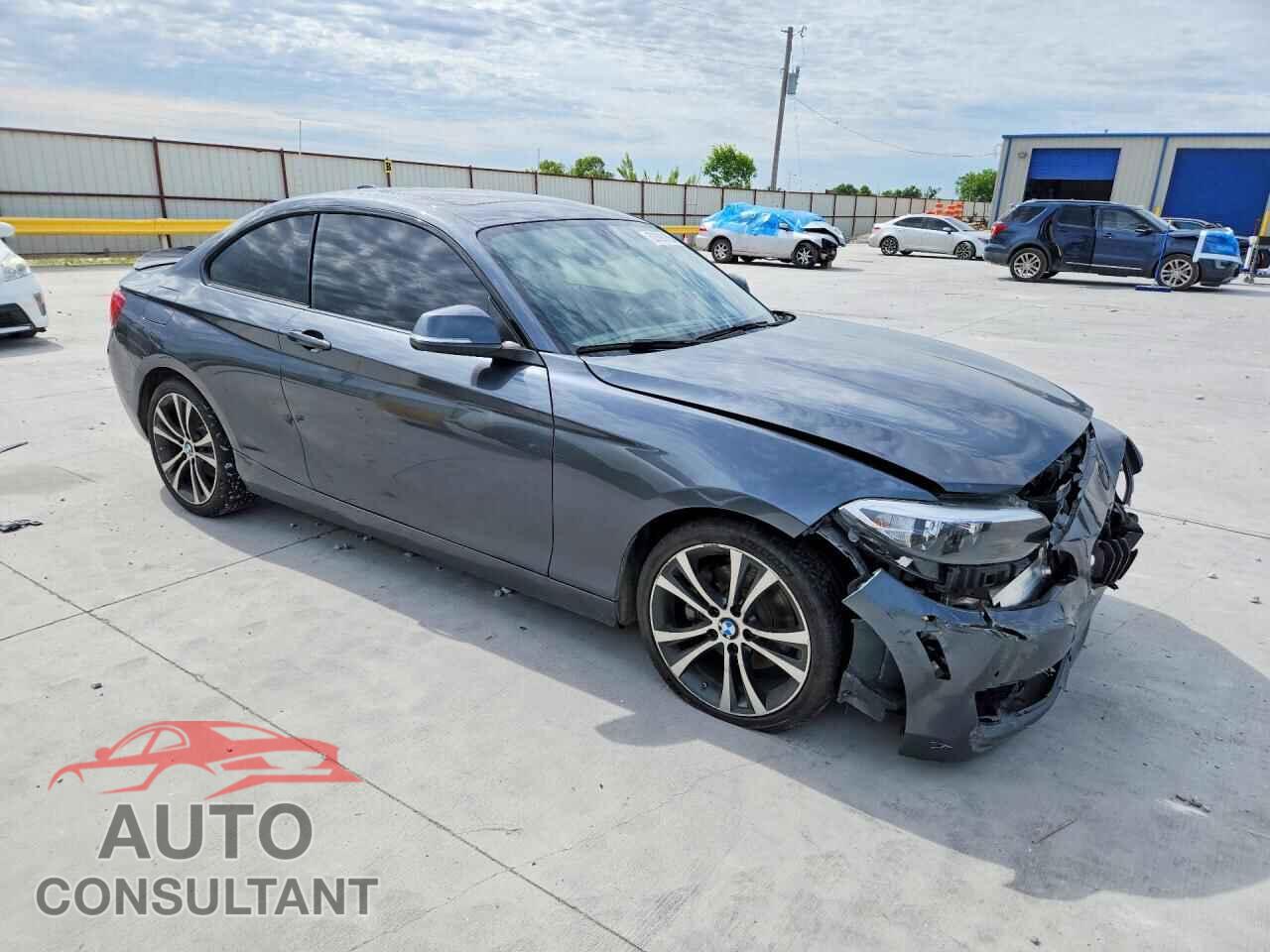 BMW 2 SERIES 2017 - WBA2F9C39HV665038