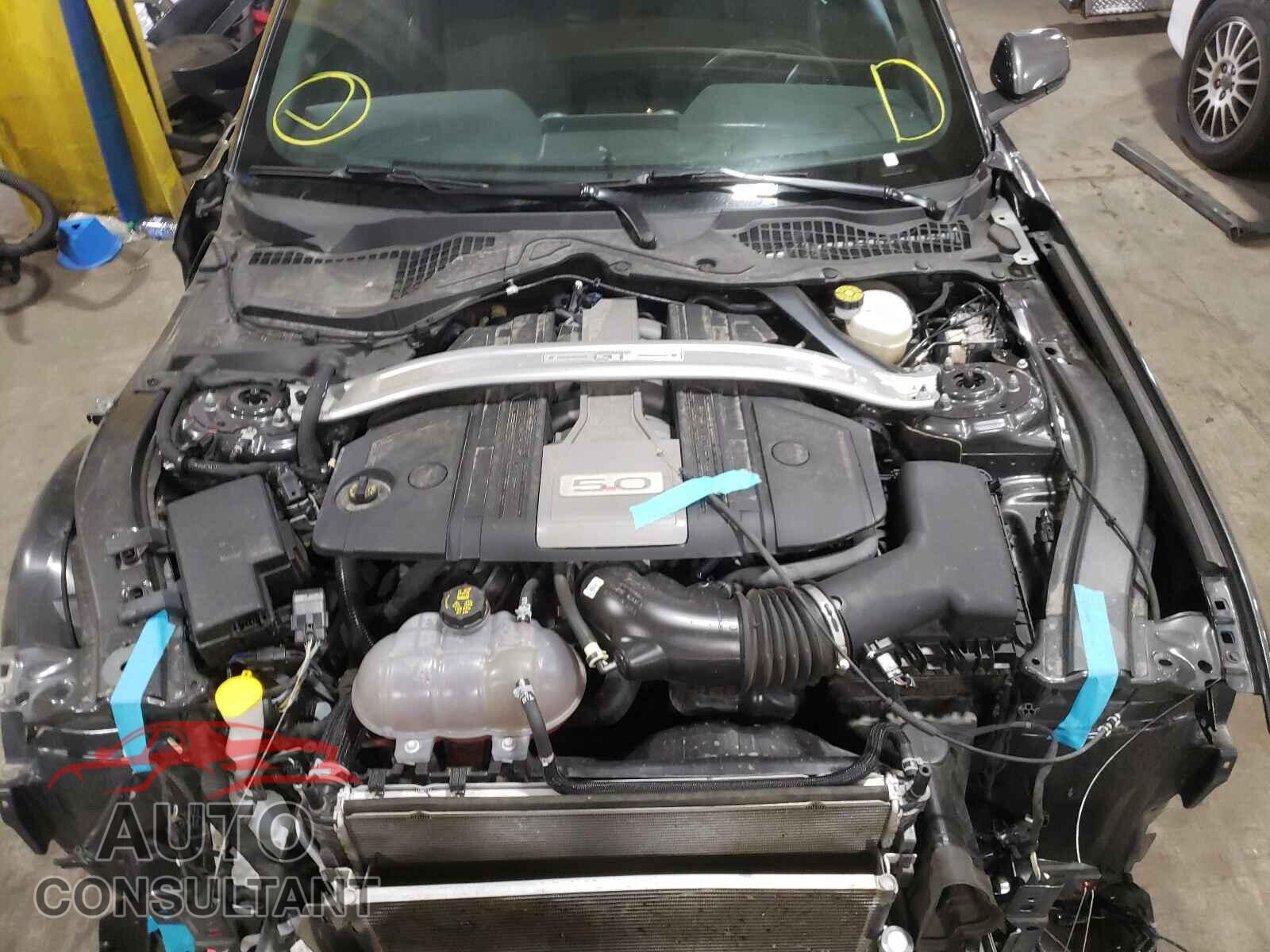 FORD MUSTANG 2019 - 1FA6P8CF5K5144059