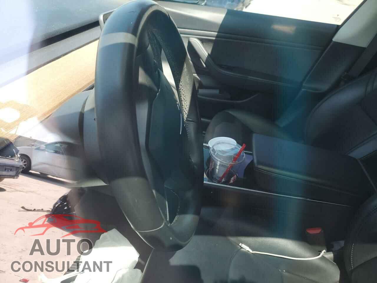 TESLA MODEL 3 2019 - 5YJ3E1EA3KF317085