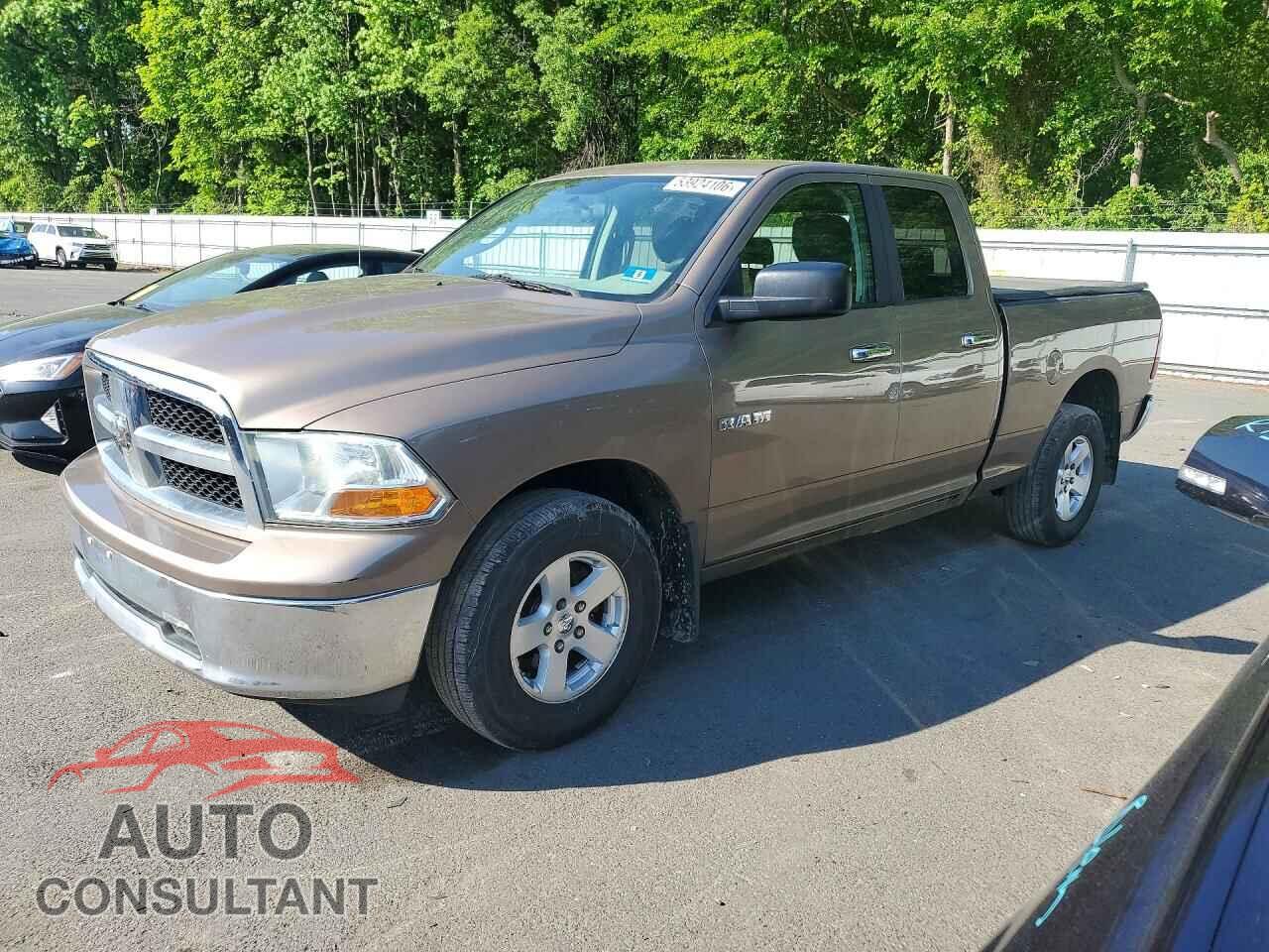 DODGE RAM 1500 2010 - 1D7RV1GP7AS154654