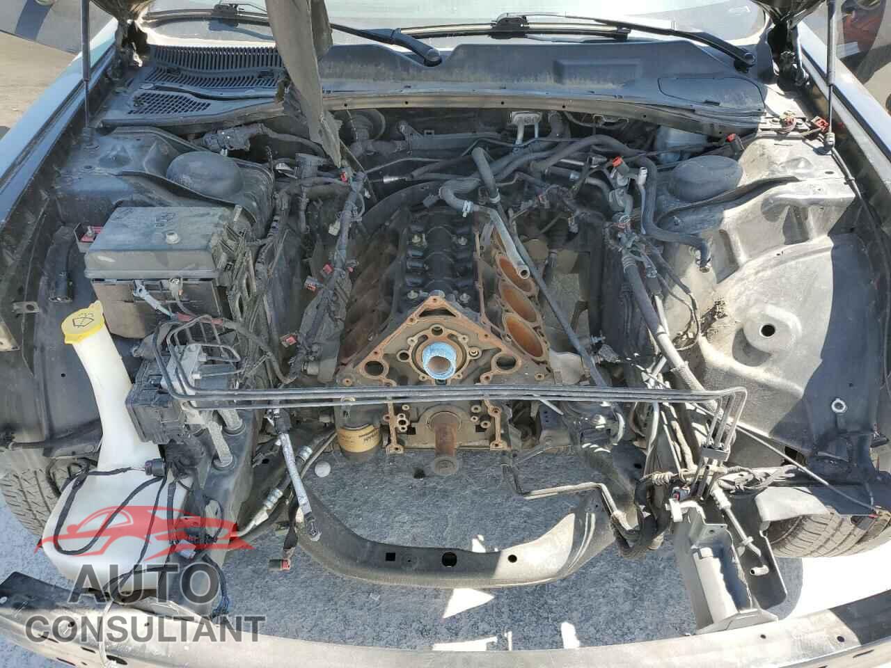 DODGE CHALLENGER 2013 - 2C3CDYBTXDH536094