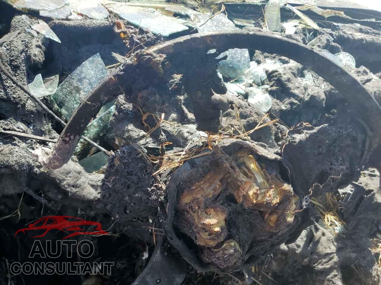 DODGE DURANGO 2023 - 1C4SDJCT3PC629656
