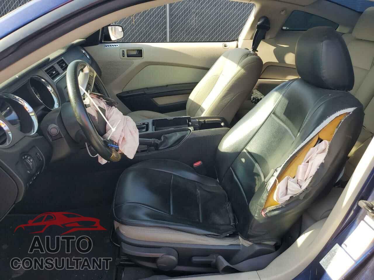 FORD MUSTANG 2011 - 1ZVBP8CF7B5128628