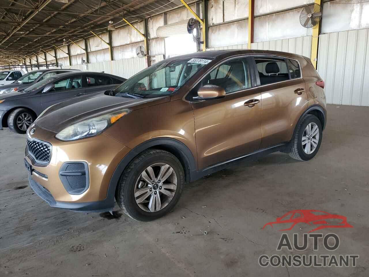 KIA SPORTAGE 2017 - KNDPM3AC6H7156690