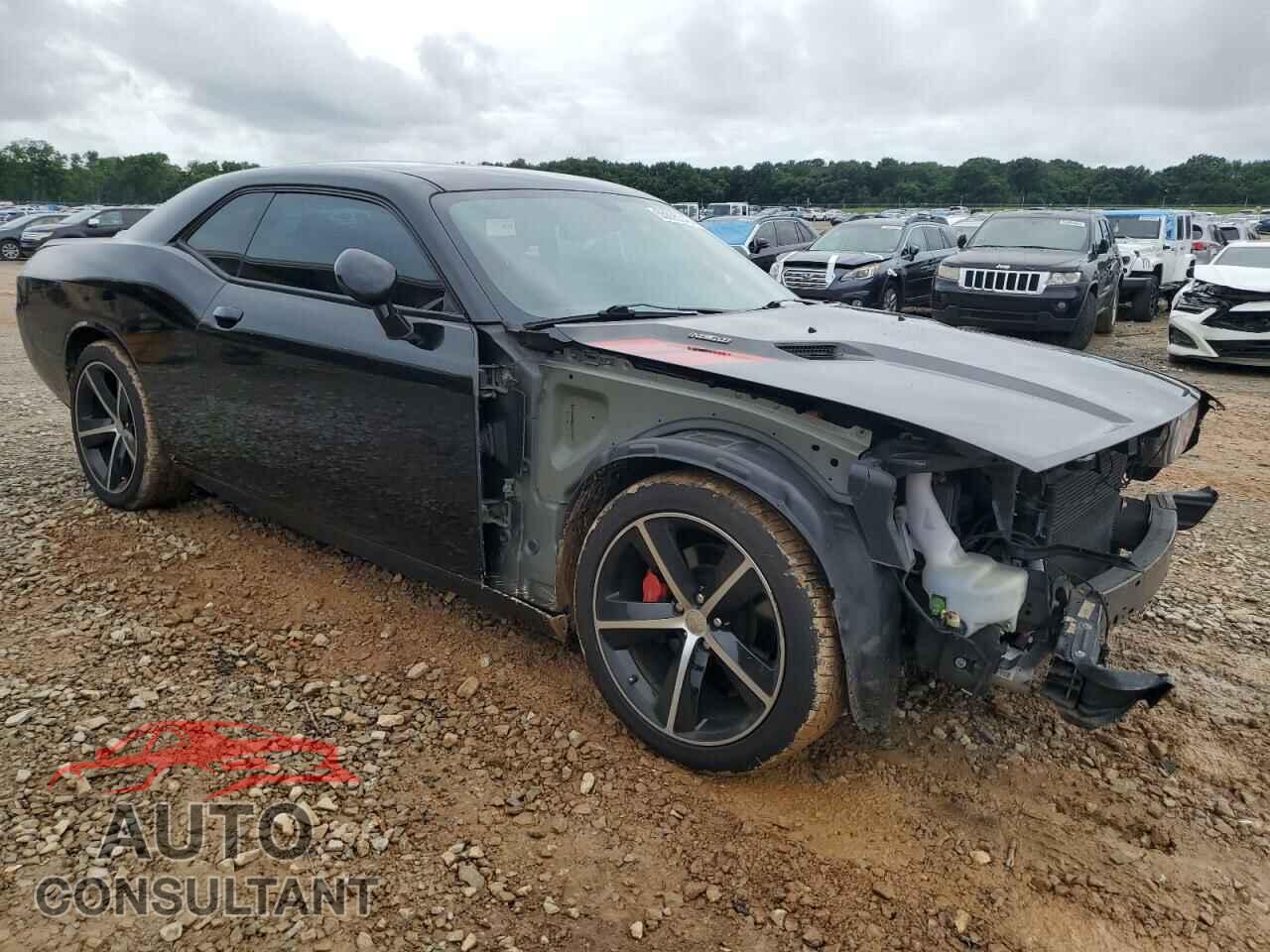 DODGE CHALLENGER 2013 - 2C3CDYBT2DH552273