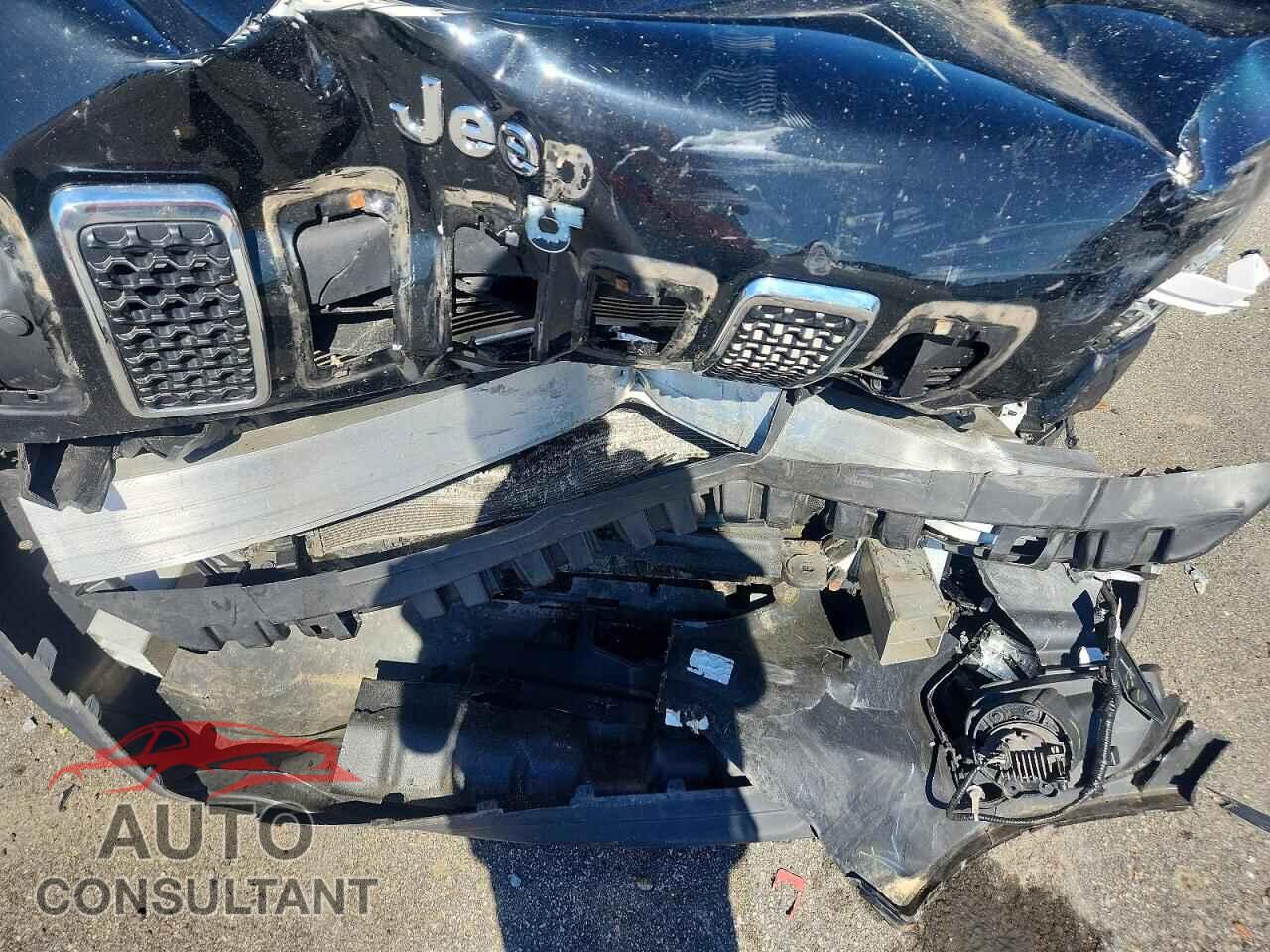 JEEP CHEROKEE 2019 - 1C4PJMLB2KD424372
