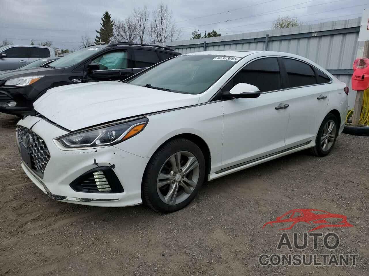 HYUNDAI SONATA 2019 - 5NPE34AF6KH747745
