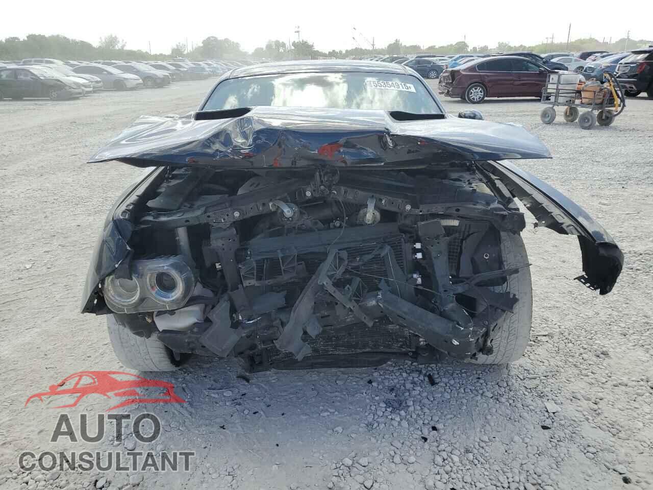 DODGE CHALLENGER 2019 - 2C3CDZAG3KH727458