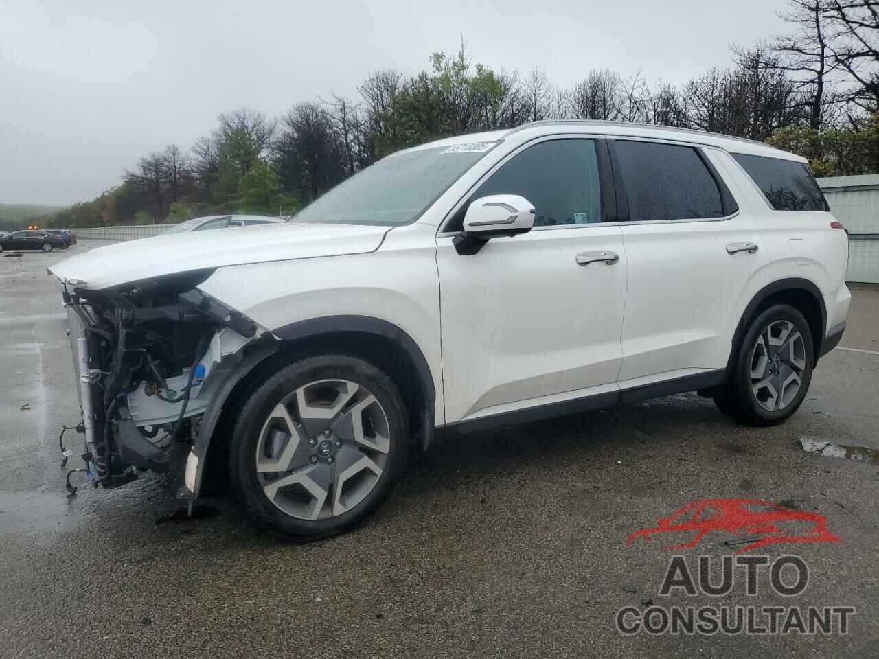 HYUNDAI PALISADE 2025 - KM8R4DGEXSU850178