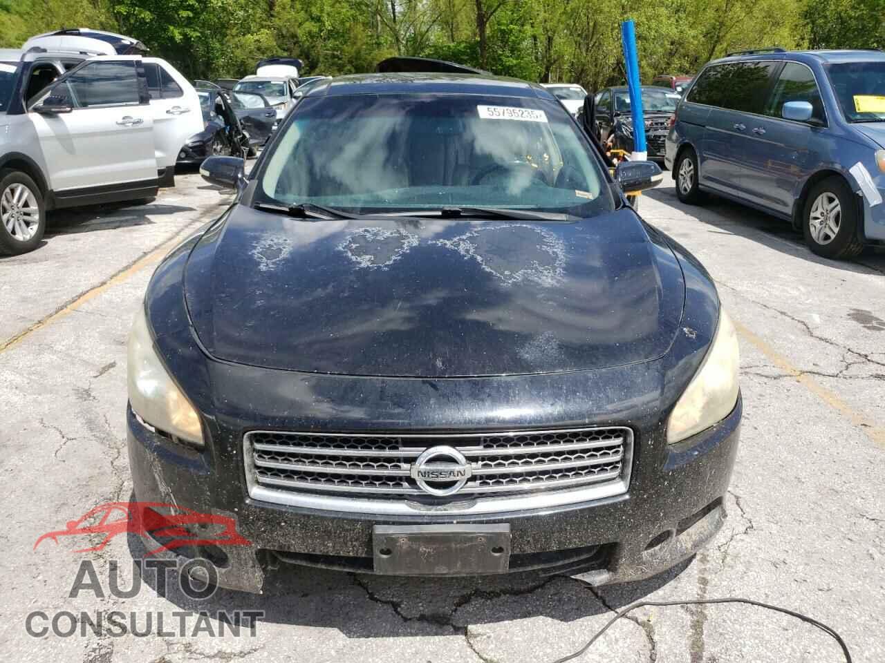 NISSAN MAXIMA 2009 - 1N4AA51E09C846977