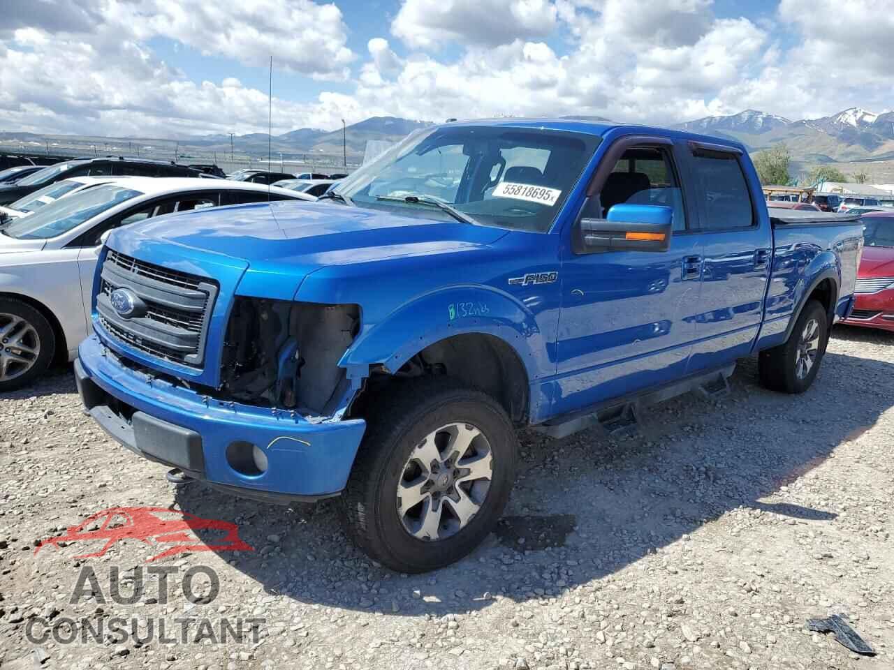 FORD F-150 2013 - 1FTFW1EF0DFD29134