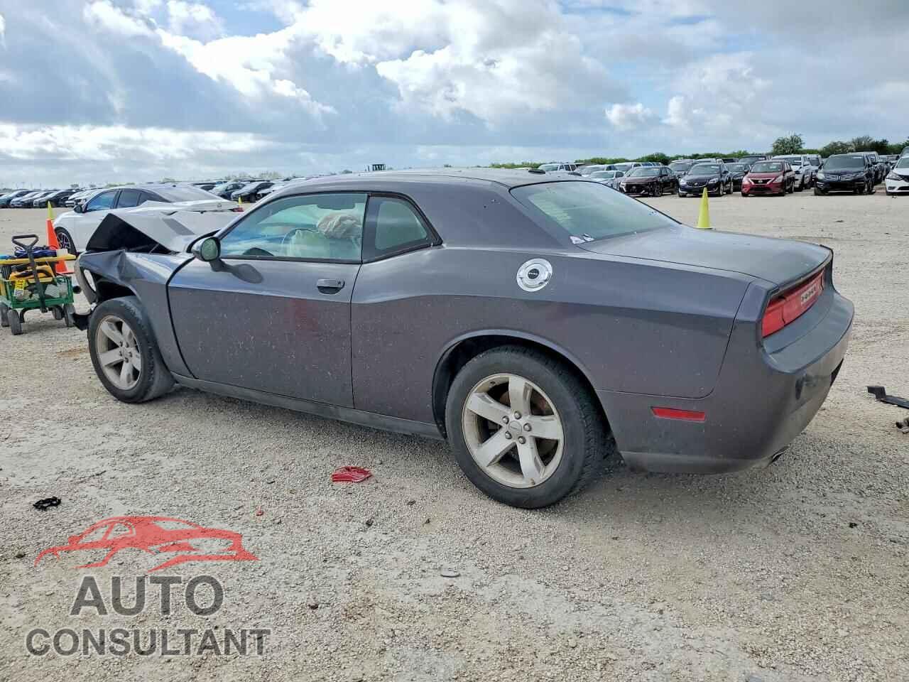 DODGE CHALLENGER 2013 - 2C3CDYAG7DH700437