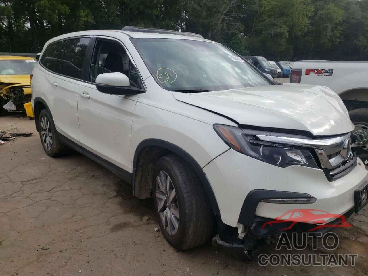 HONDA PILOT 2019 - 5FNYF5H52KB009527