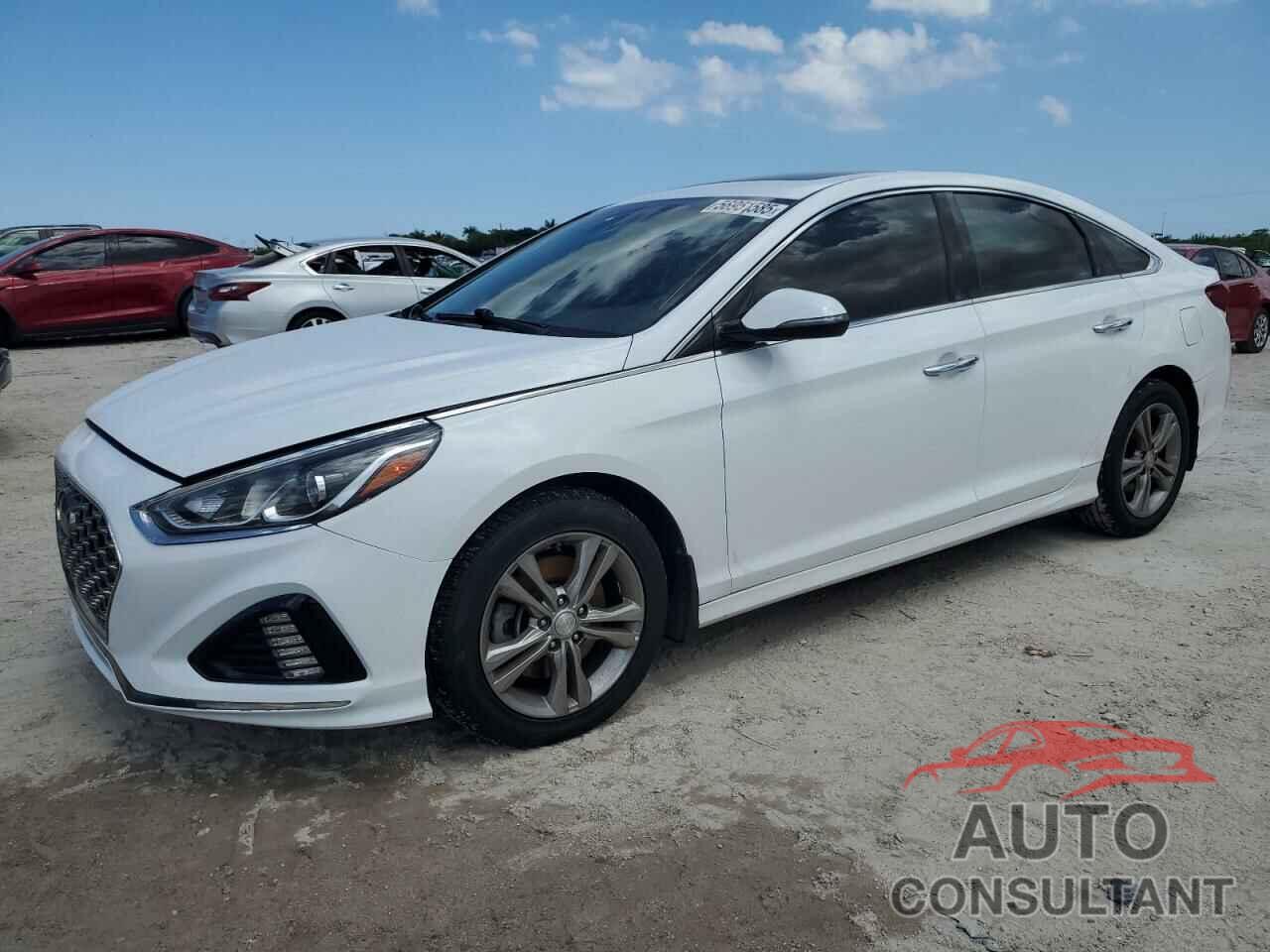 HYUNDAI SONATA 2019 - 5NPE34AF3KH792691