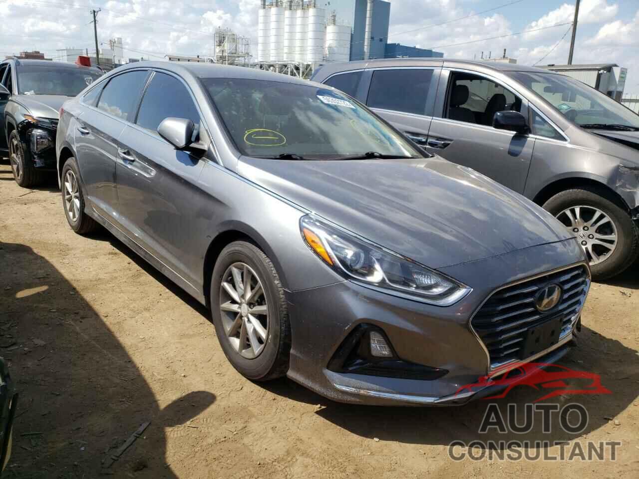 HYUNDAI SONATA 2019 - 5NPE24AF6KH732651