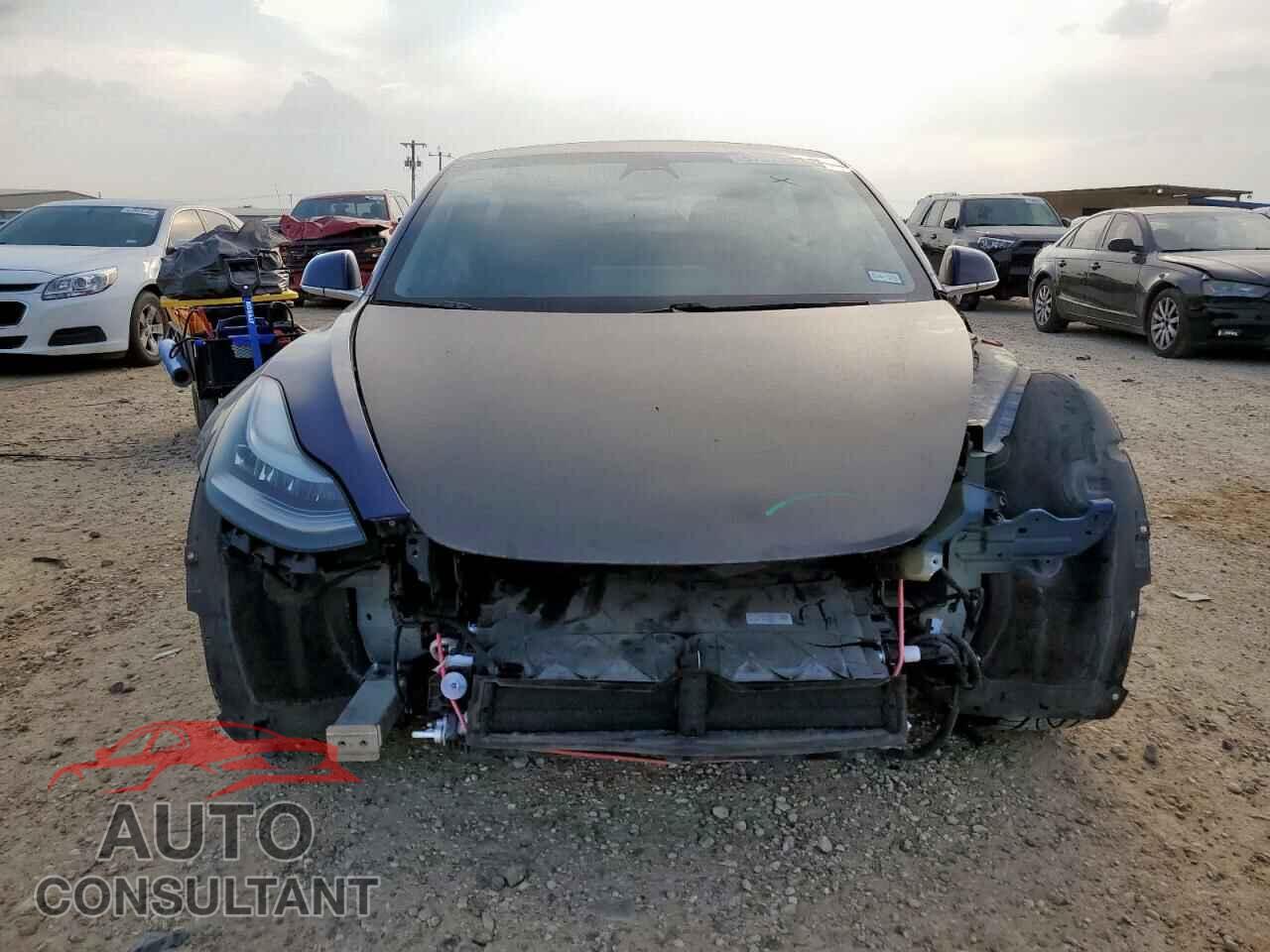 TESLA MODEL 3 2019 - 5YJ3E1EA3KF309133