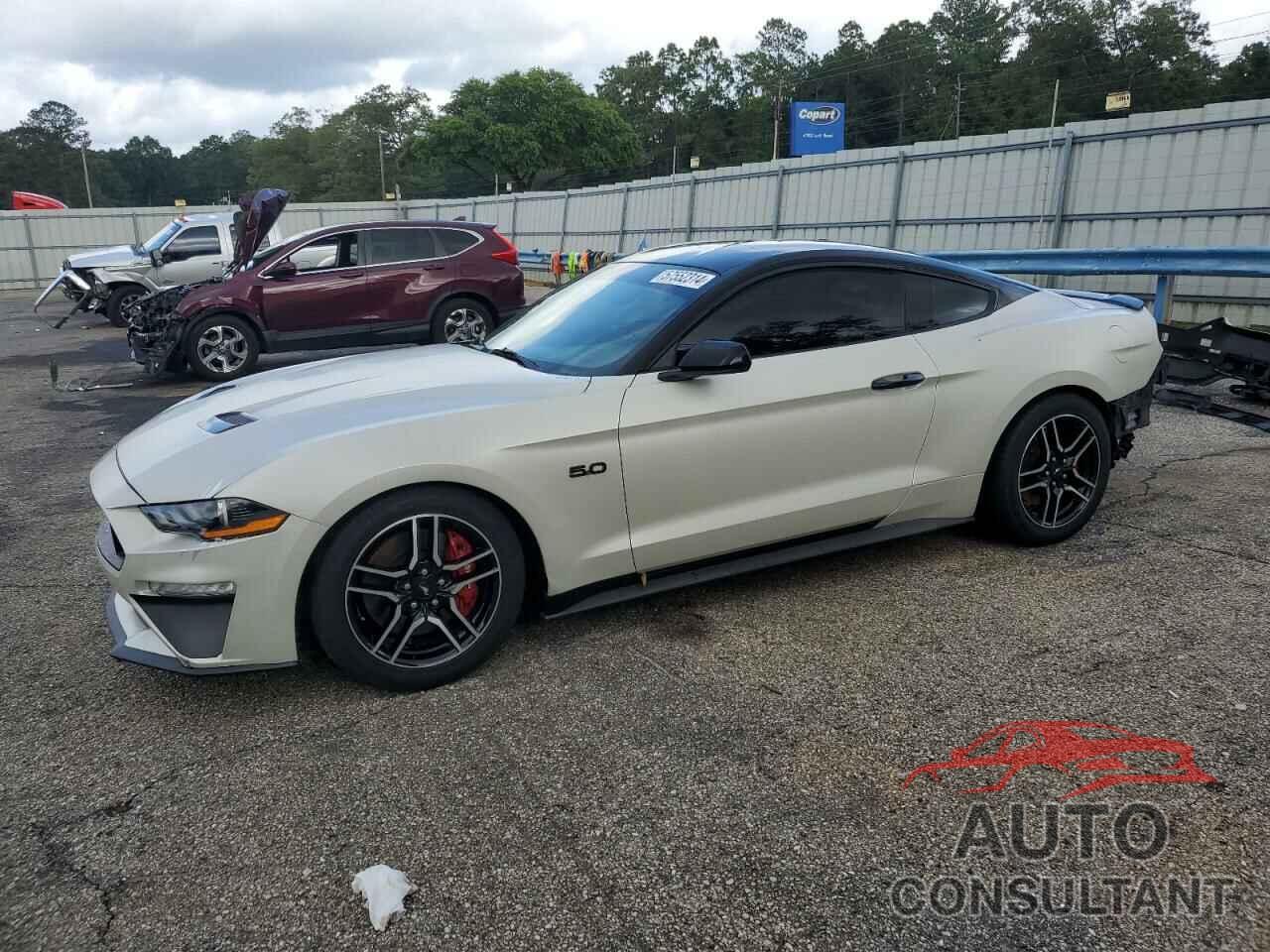 FORD MUSTANG 2019 - 1FA6P8CF3K5124456