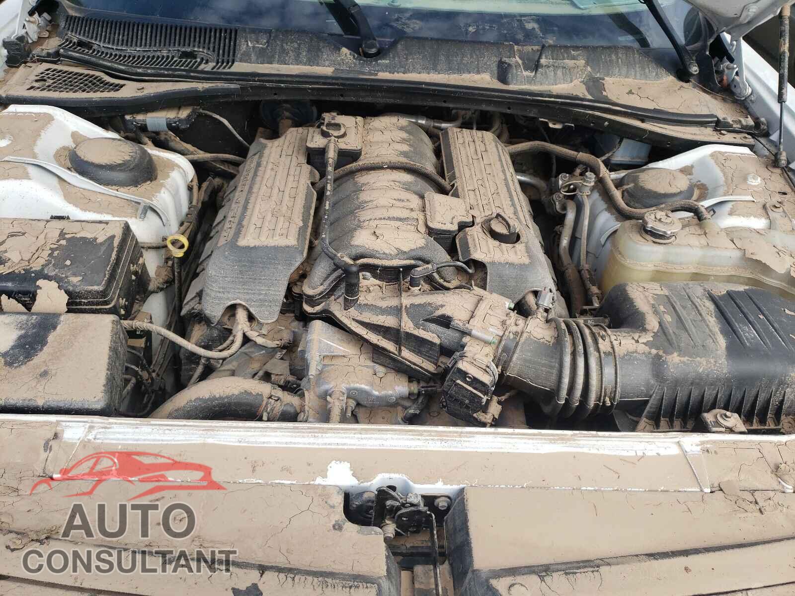 DODGE CHALLENGER 2019 - 2C3CDZFJ0KH675310