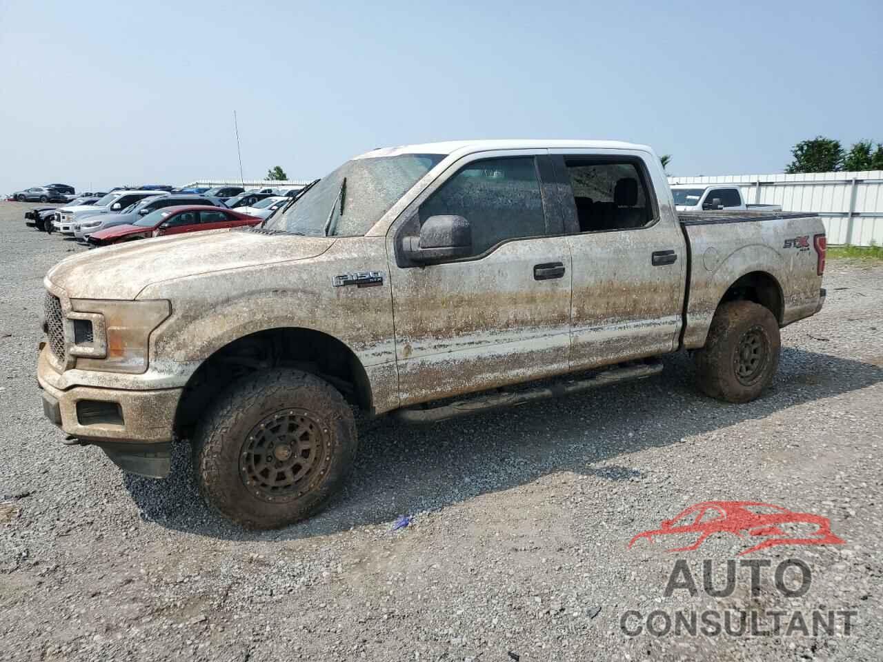 FORD F-150 2019 - 1FTEW1EP9KFA29514