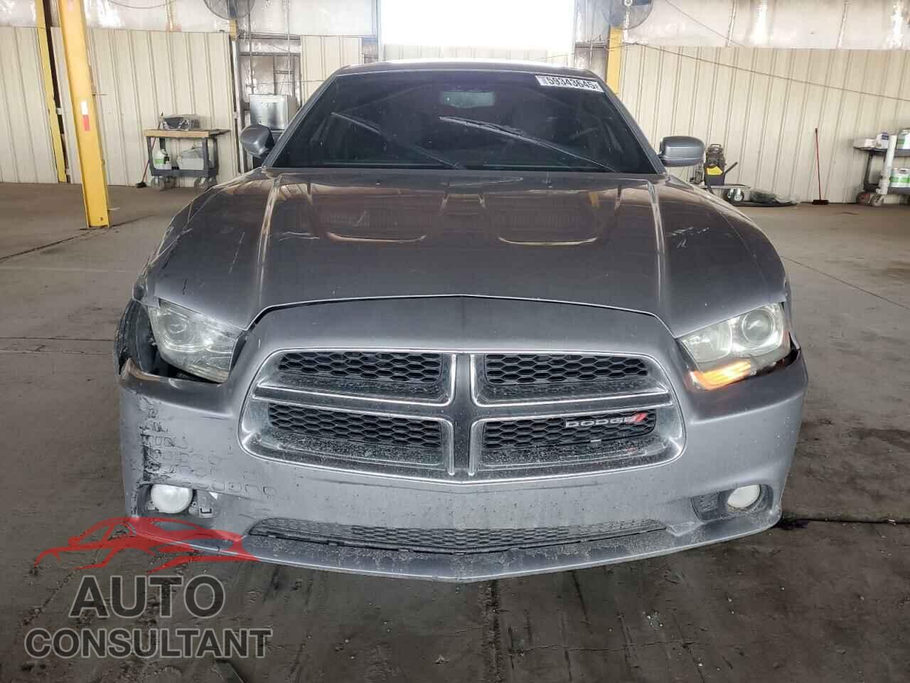 DODGE CHARGER 2014 - 2C3CDXCT3EH180419