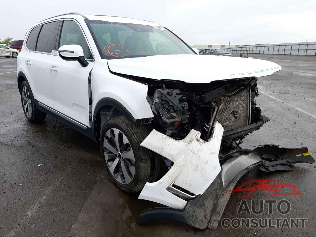 KIA TELLURIDE 2021 - 5XYP6DHC4MG166735