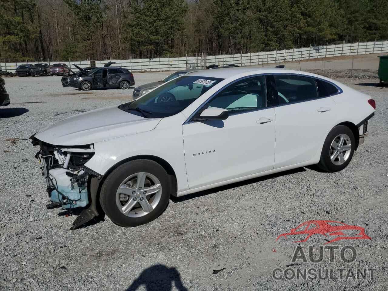 CHEVROLET MALIBU 2022 - 1G1ZC5ST8NF186239