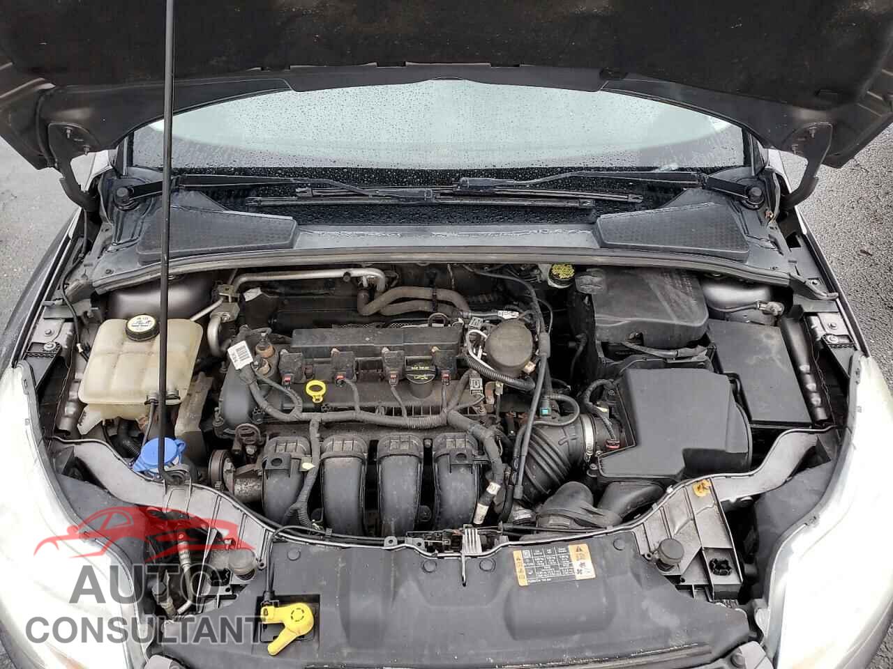 FORD FOCUS 2014 - 1FADP3F25EL322488