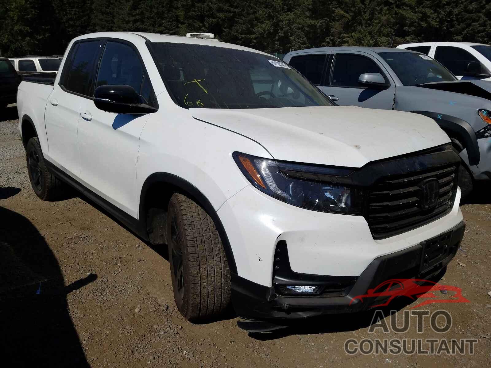 HONDA RIDGELINE 2021 - 5FPYK3F82MB008854