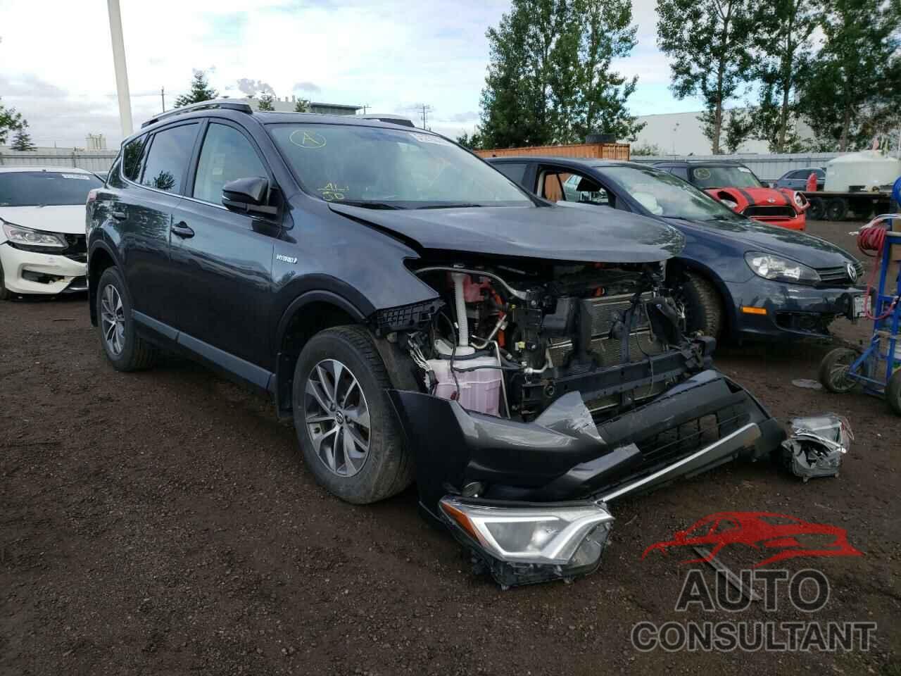 TOYOTA RAV4 2016 - JTMRJREV8GD041122