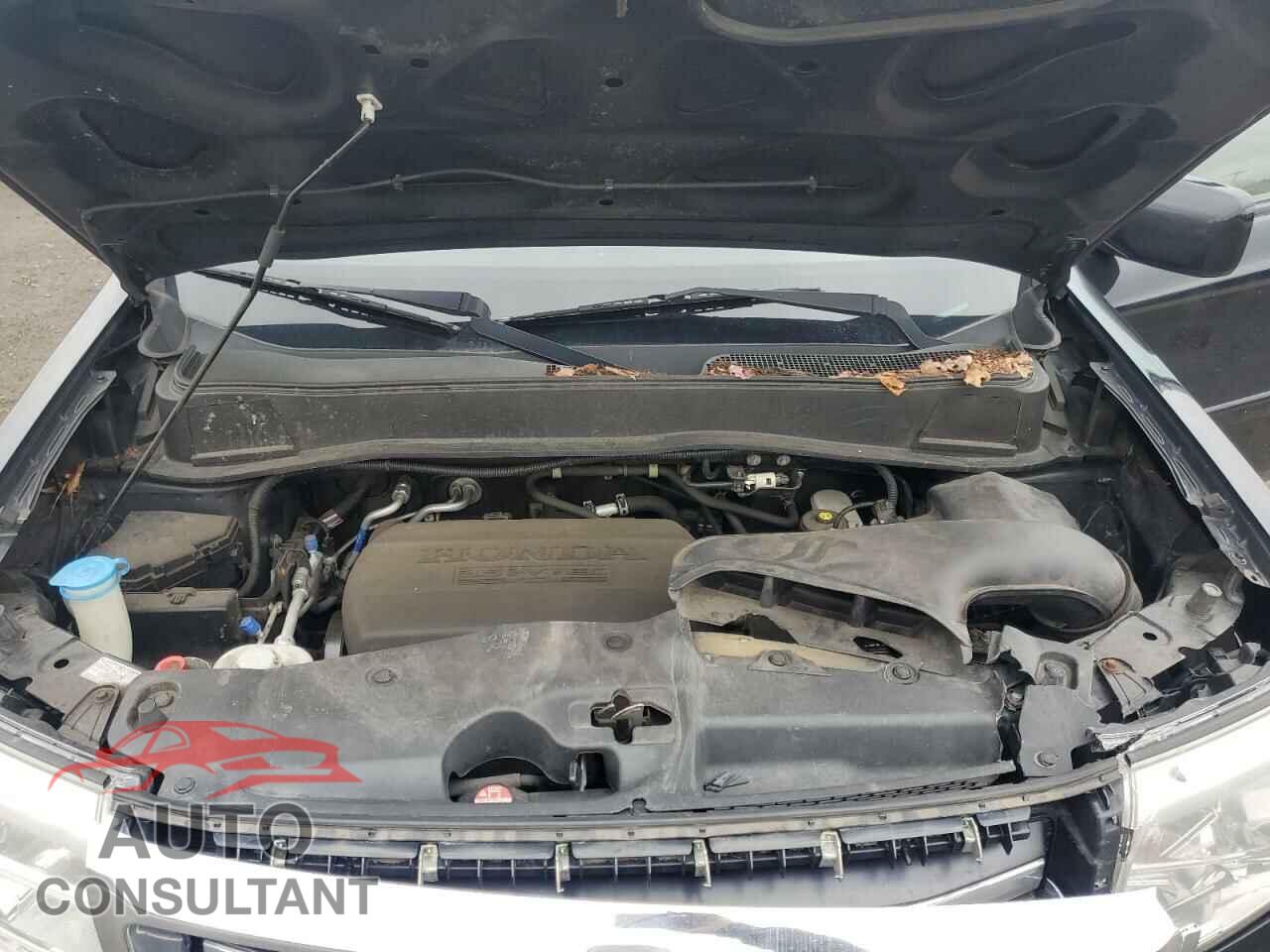 HONDA PILOT 2015 - 5FNYF4H66FB016263