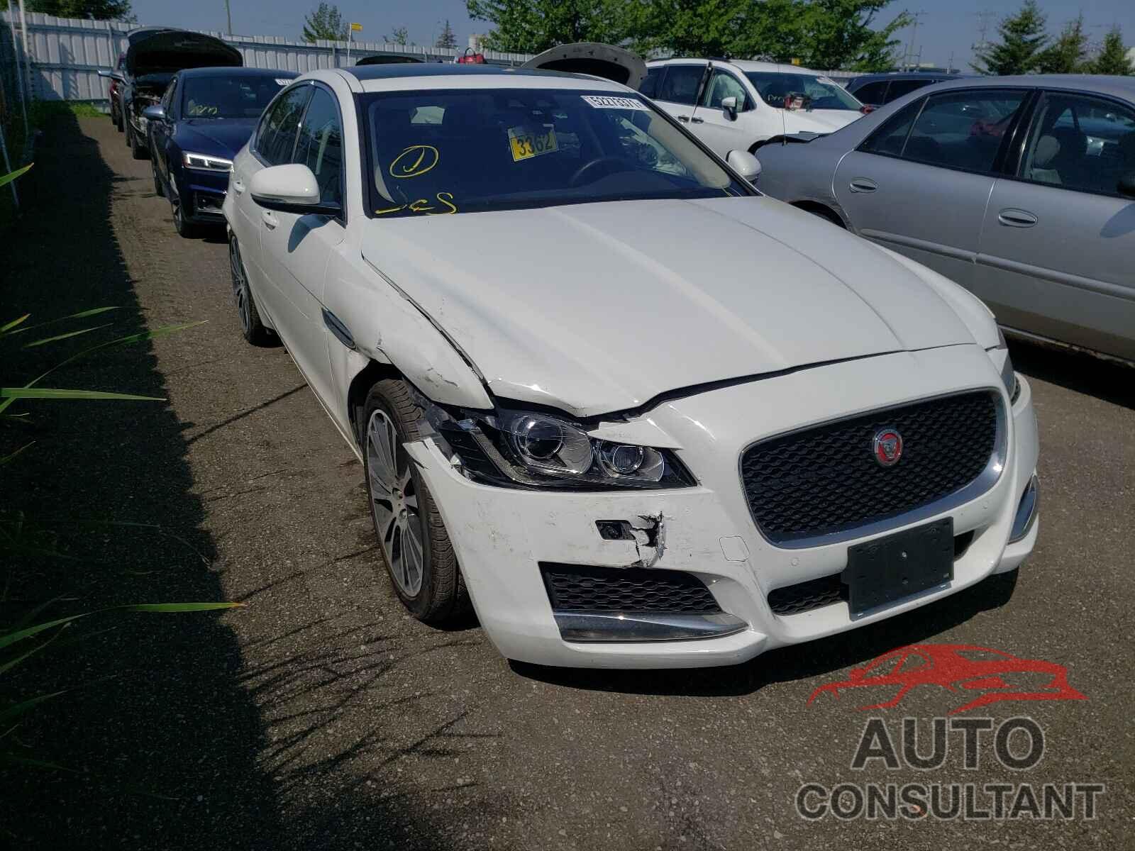 JAGUAR XF 2019 - SAJBK4FX4KCY78161