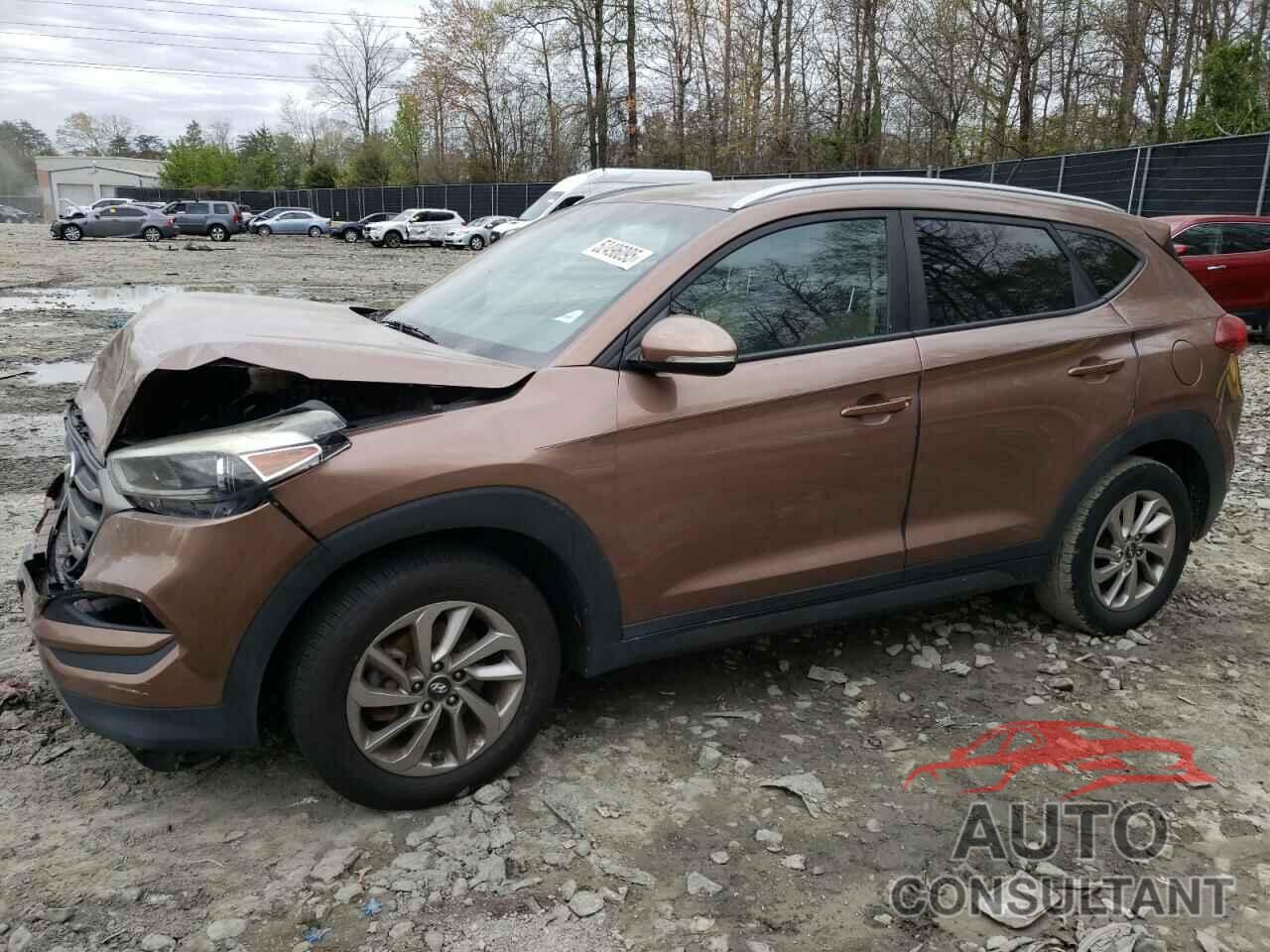 HYUNDAI TUCSON 2016 - KM8J3CA22GU159923